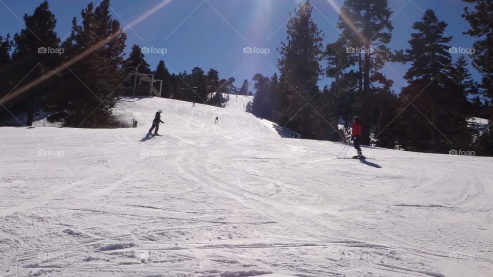 Big bear sun and snow