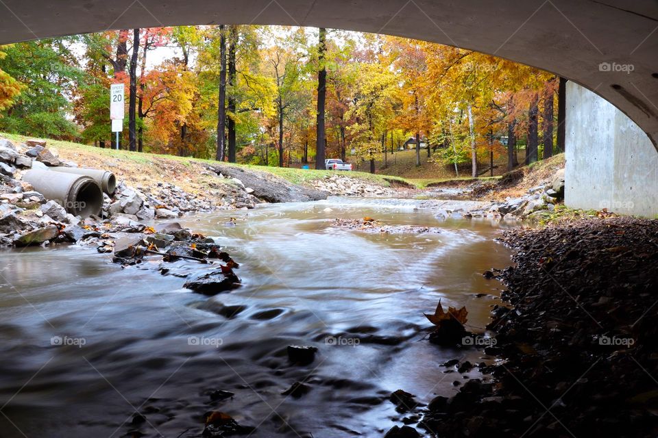 The troll under the bridge has a quaint view 