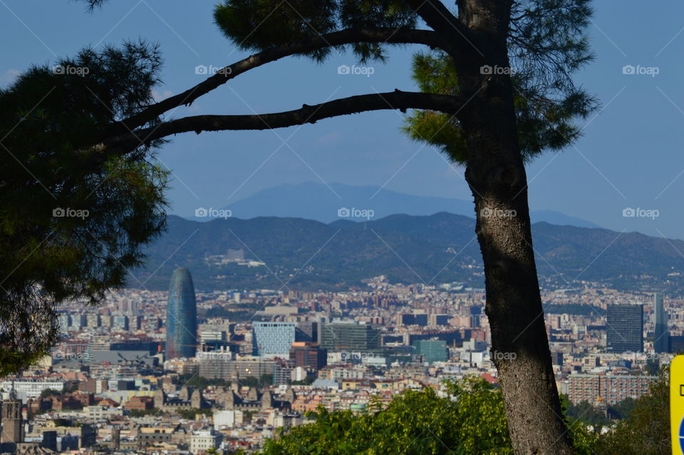 Mirador Torre Agbar