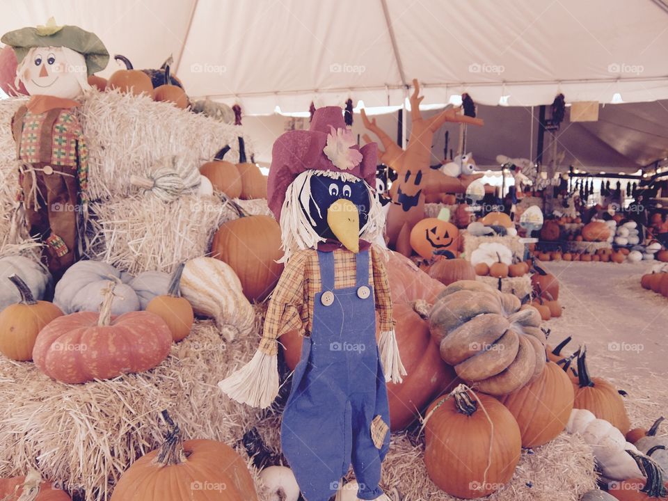 Decorations and pumpkins and hay at the pumpkin farm 