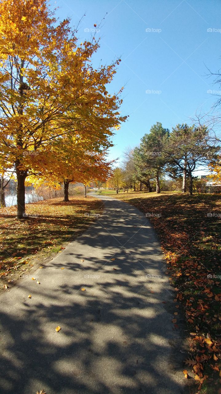 fall pathway