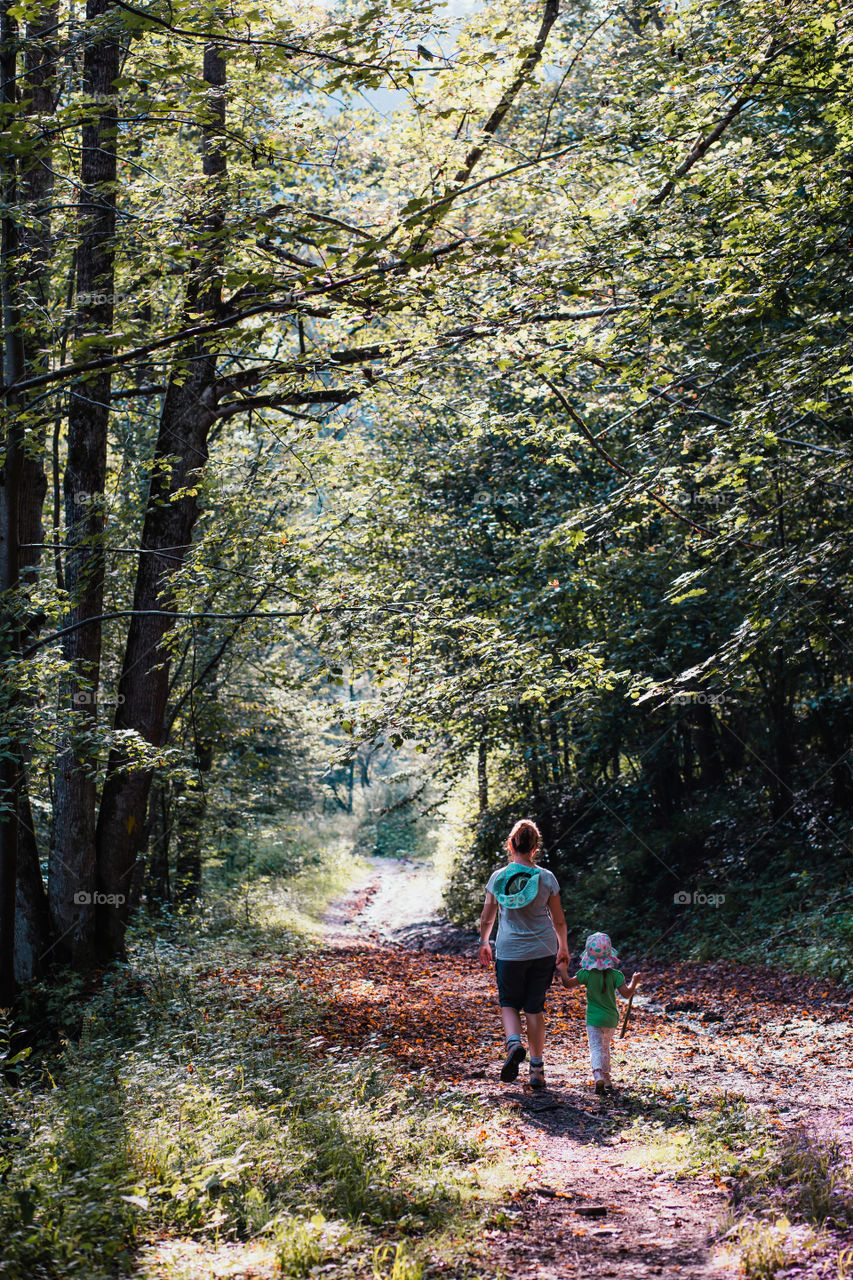 Family walking through the forest. Spending vacation on wandering in forests