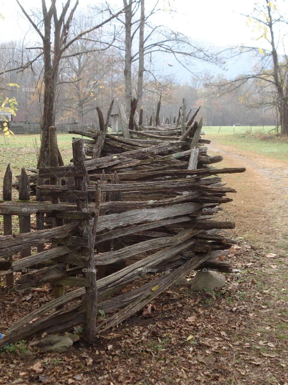 Rustic Fence