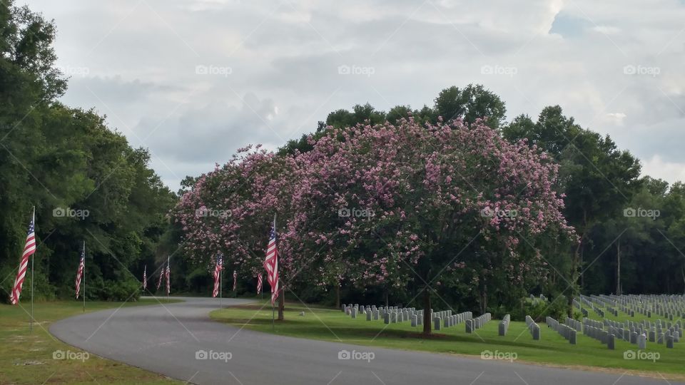 Memorial Day in Sumter County National Cemetery