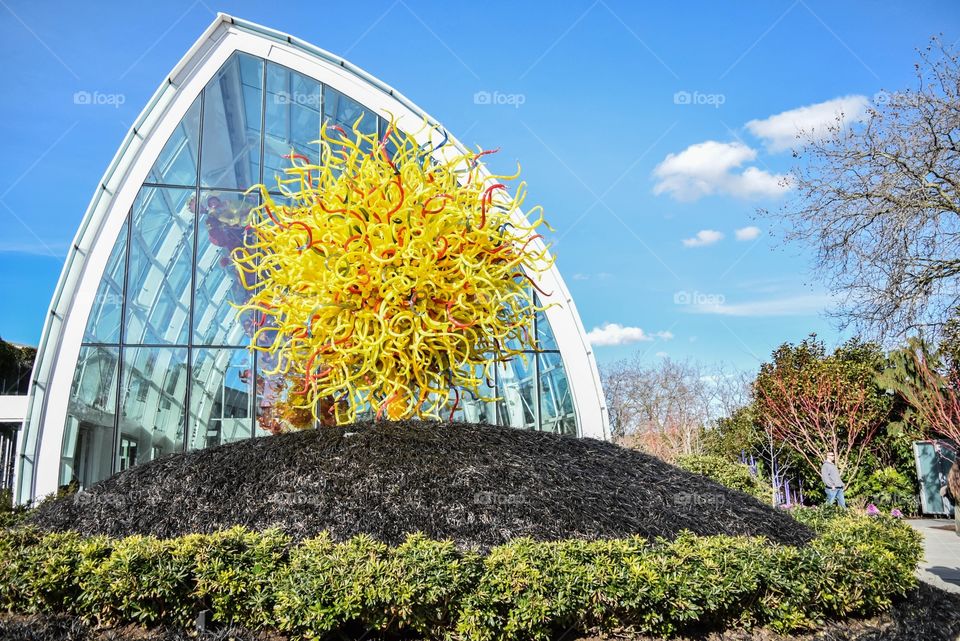 Chihuly Glass garden