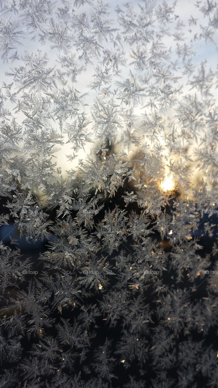 Morning Frost 2