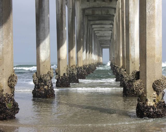 La Jolla Shores Pier. La Jolla Shores Pier
