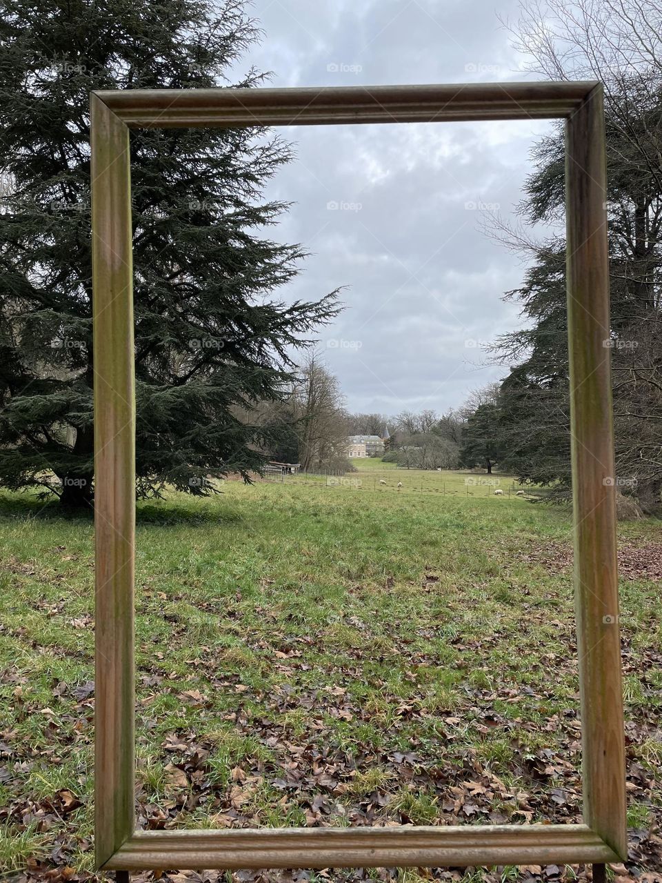 A photo Frame in Park 