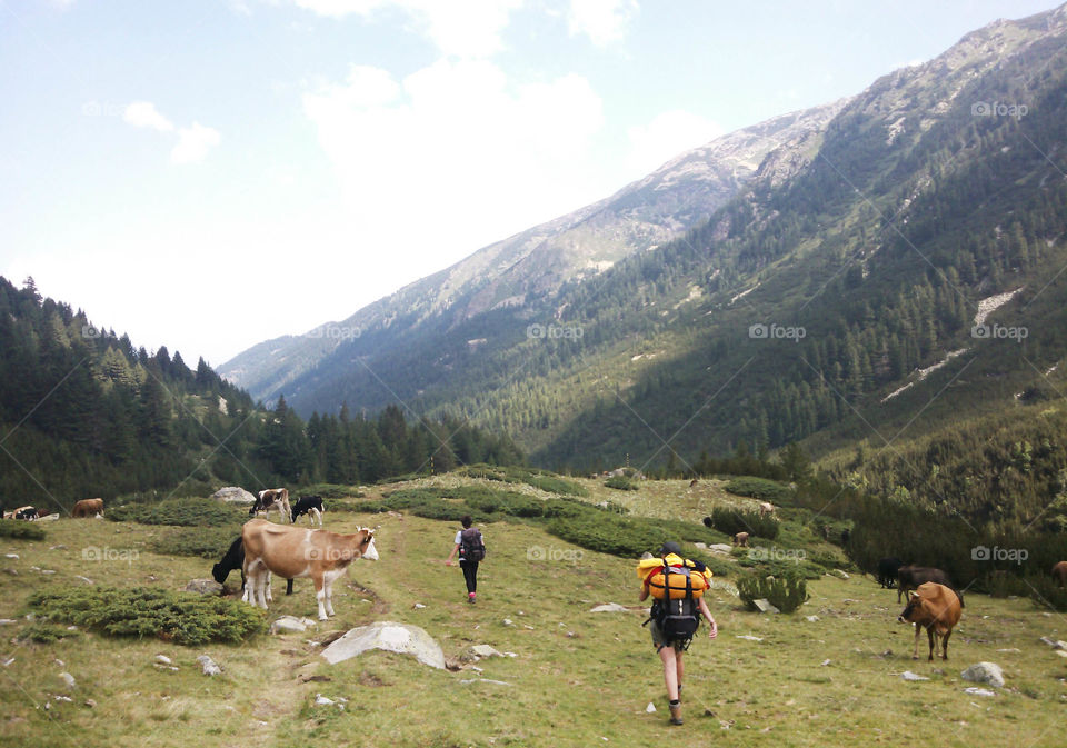 Summer trip in the mountain