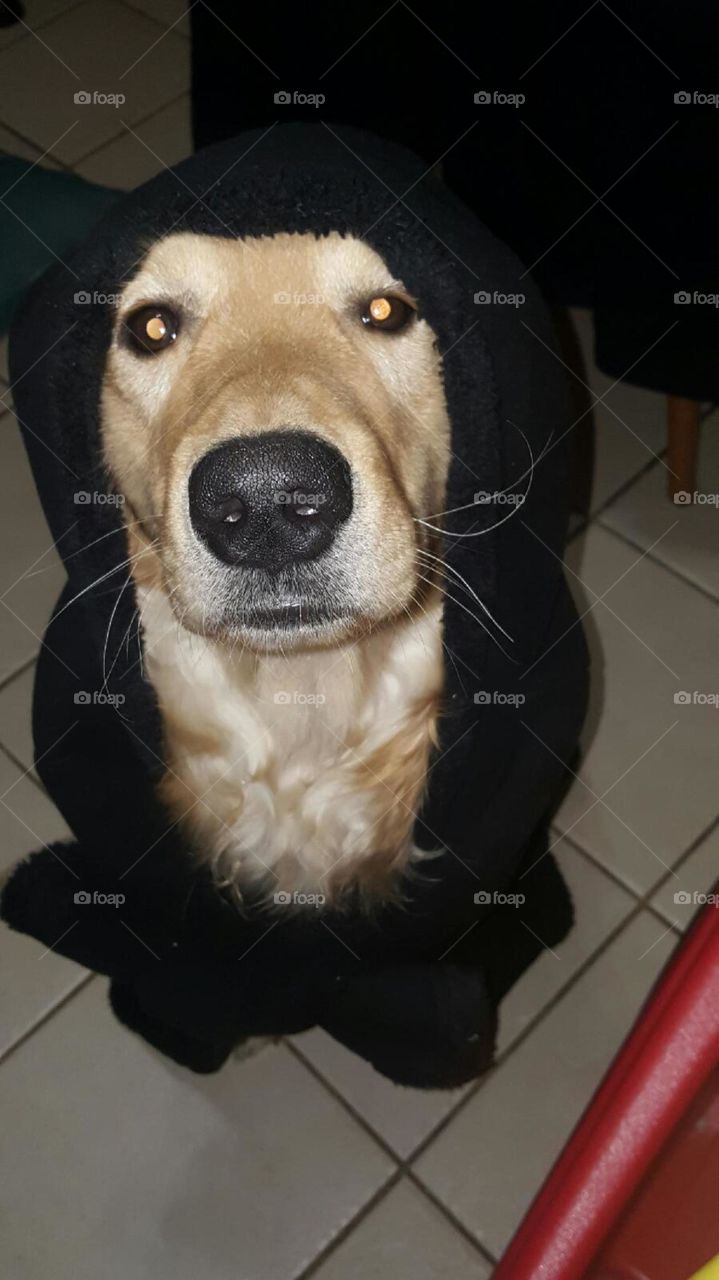 How much do you like my photo?