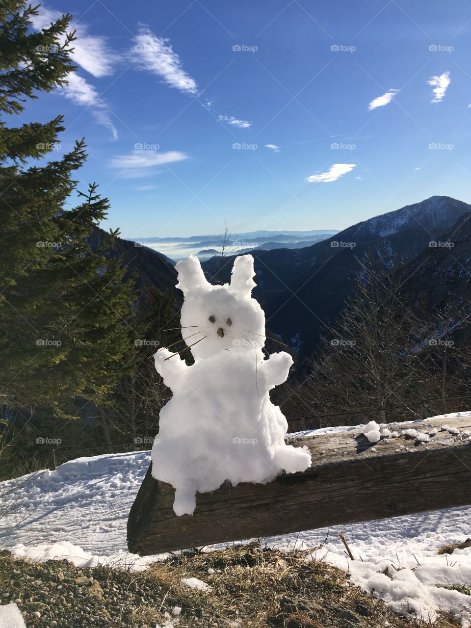 Ice bunny says hi 