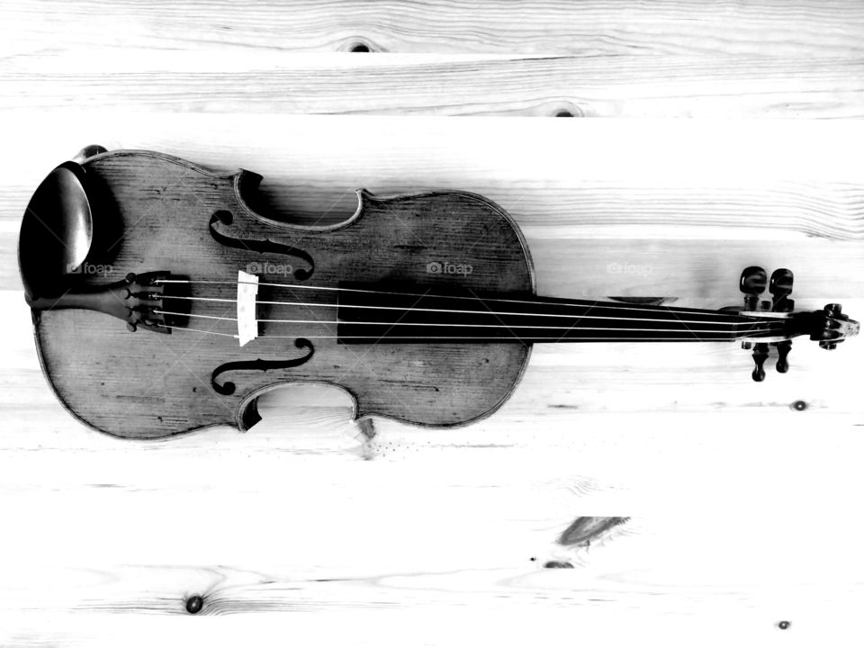 black and white violin