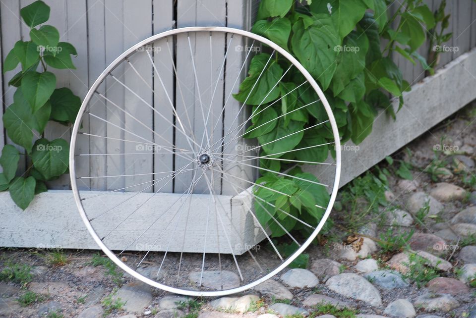 Bike wheel