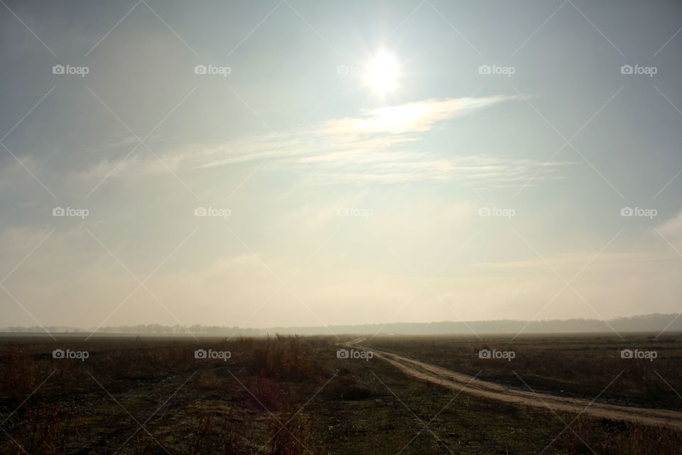 road through the field