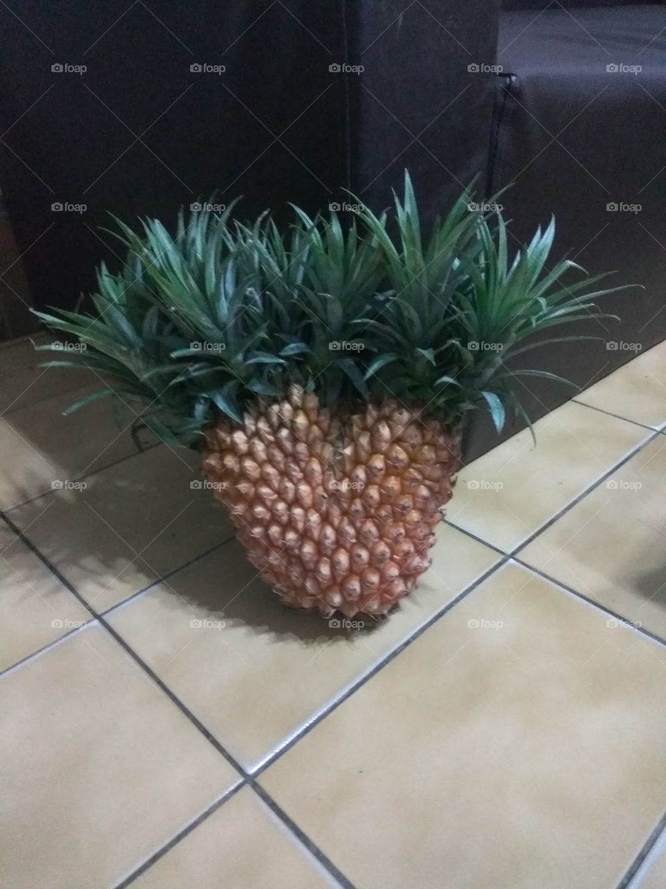 a twin pineapple