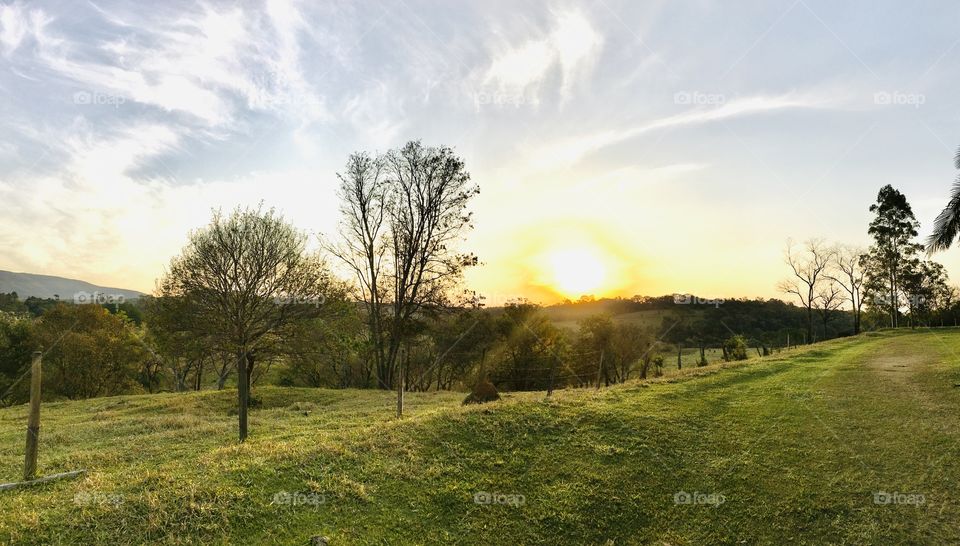 A sequence of shades of green and white, broken by the sun with its intense glow. / Uma sequência de tons de verde e branco, rompidos  pelo sol com seu brilho intenso. 