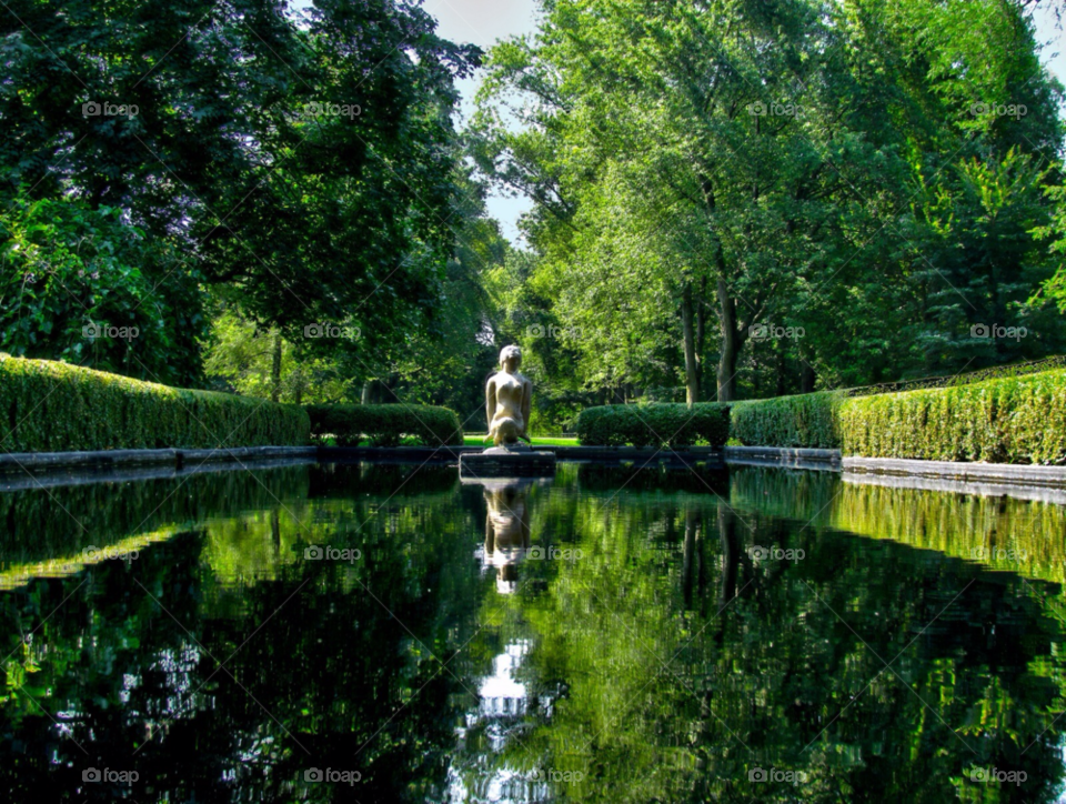 green summer water reflection by landon