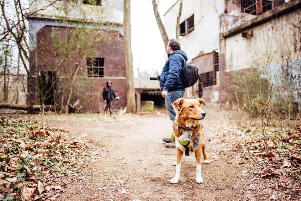 4 dogs, 5 miles, 6 beers = adventure