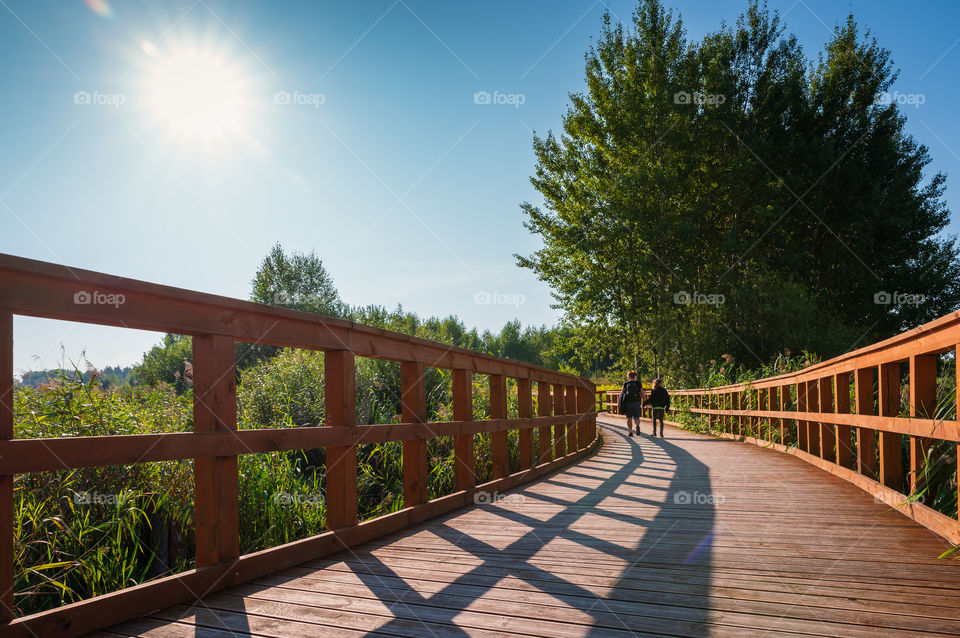 Walking on a wooden bridge crossing wetlands.