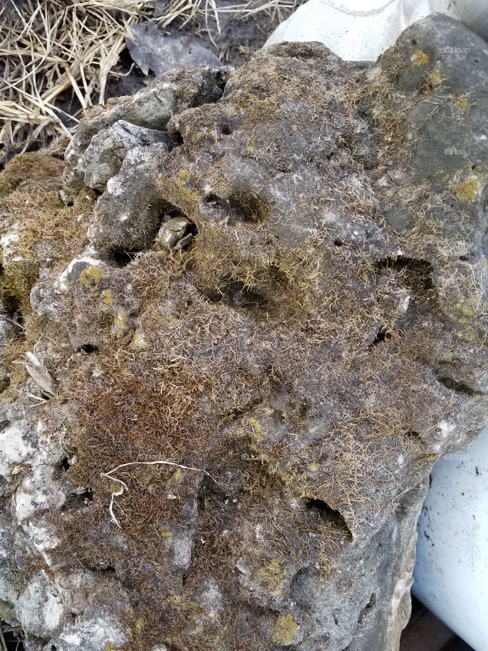 What can we Really see in a Rock