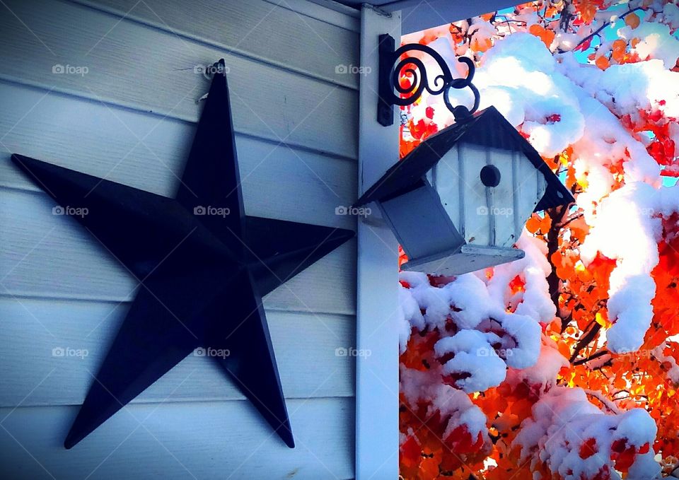 Shelter for the little birdies n a cold Winter's day in my backyard.