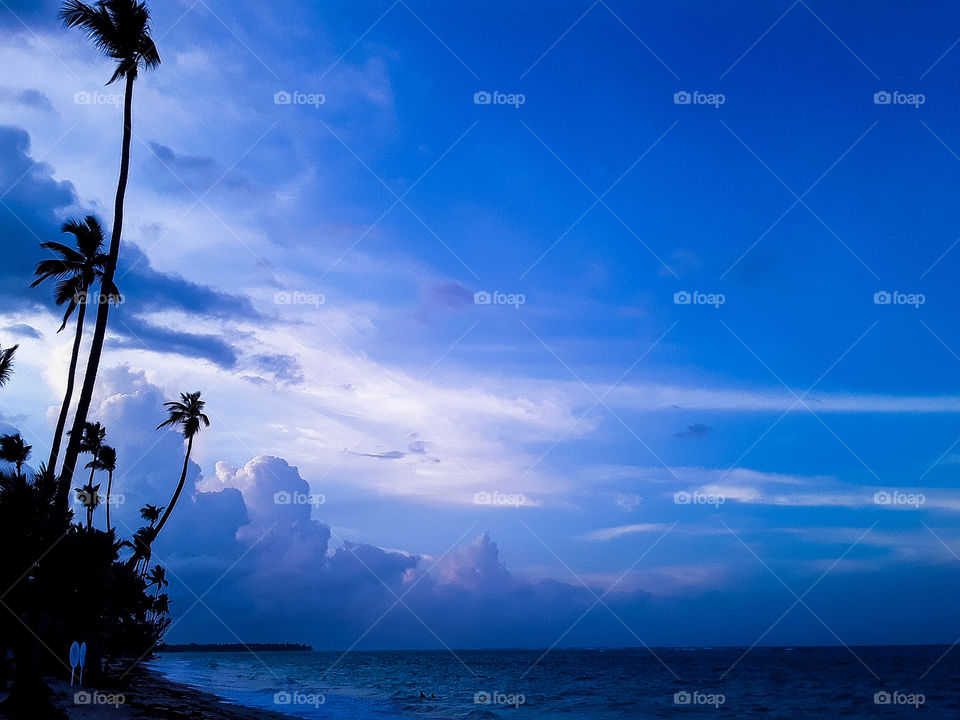 twilight in the tropics bright colors of the passing day. silhouettes of graceful palms and deserted beach