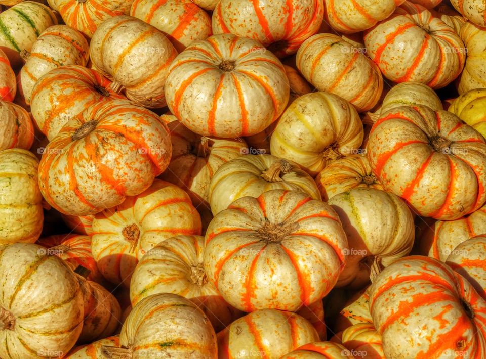 Striped Pumpkins