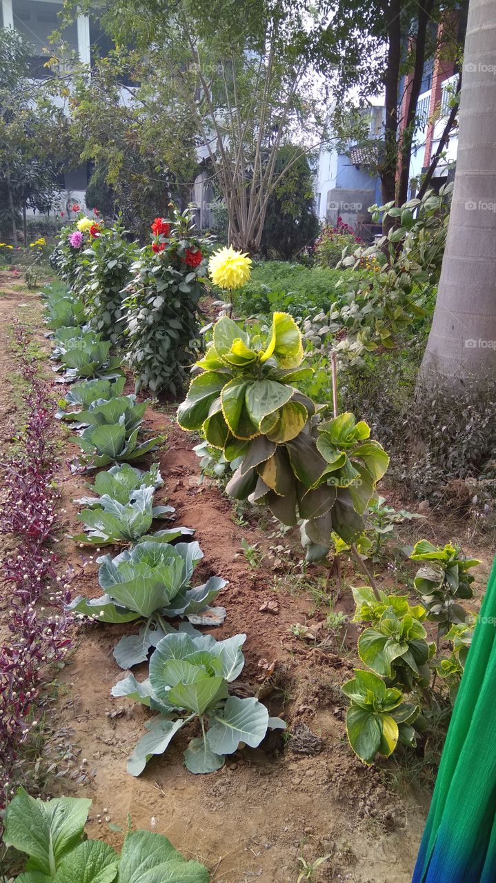 church garden