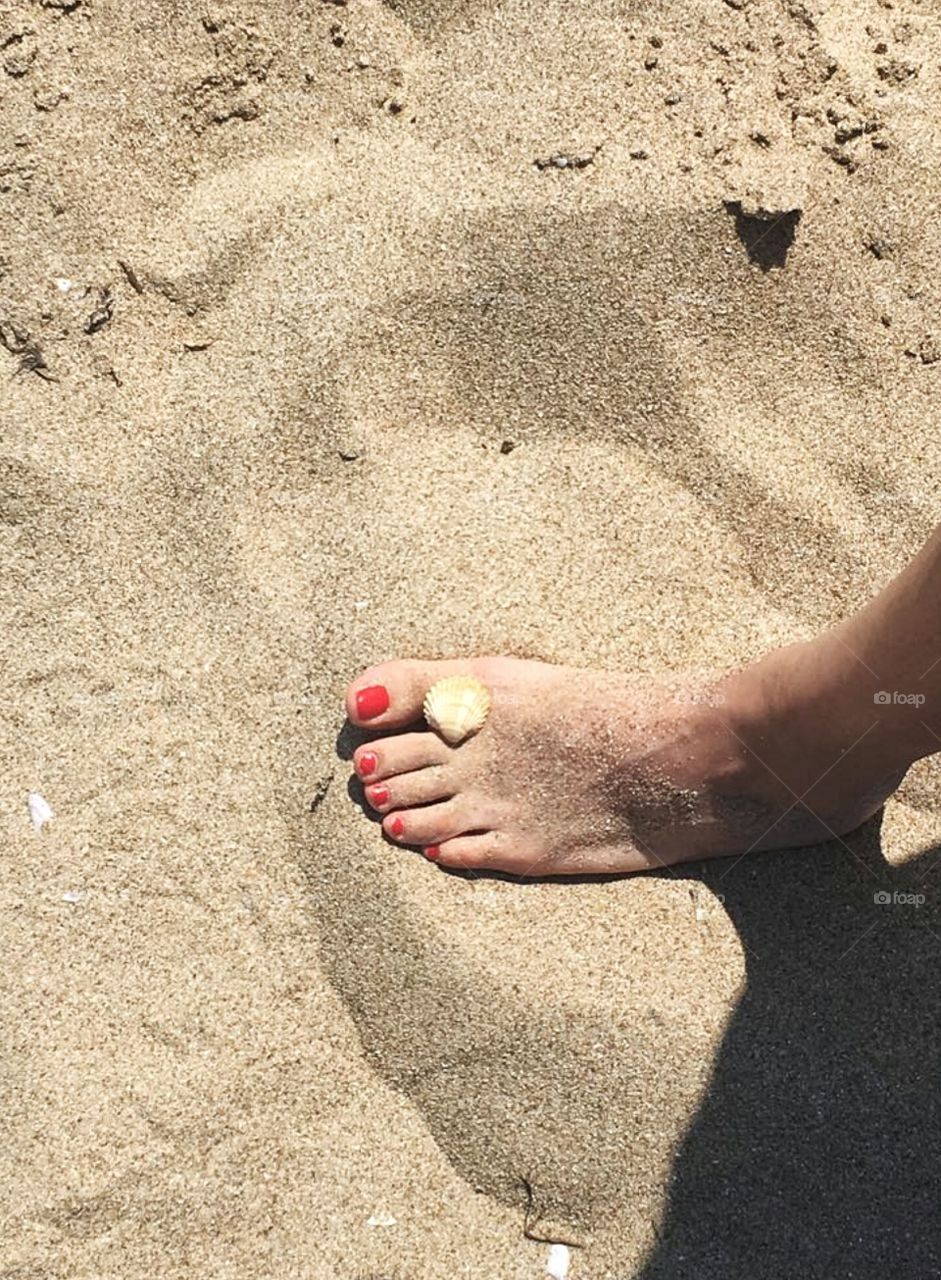 Summer, seashell and golden sand