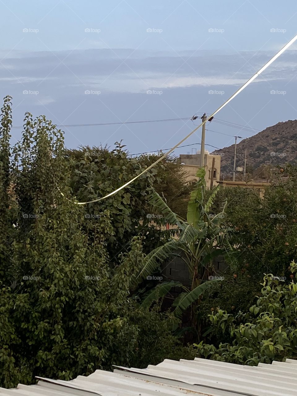 Amazing farm in city albah,the view from a window fantastic 