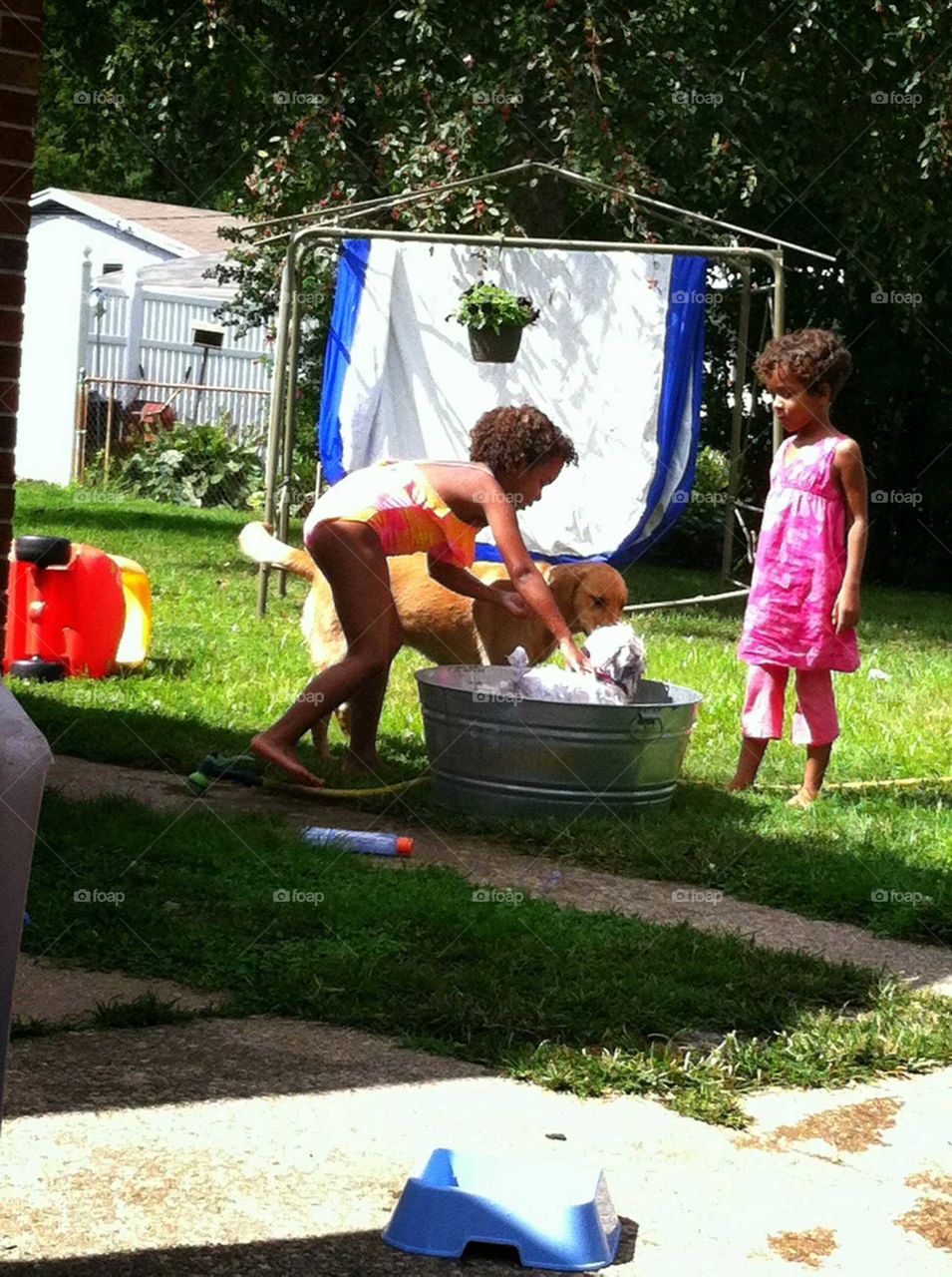 kids giving a dog a bath