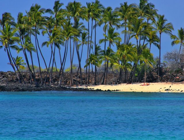 tropical beach