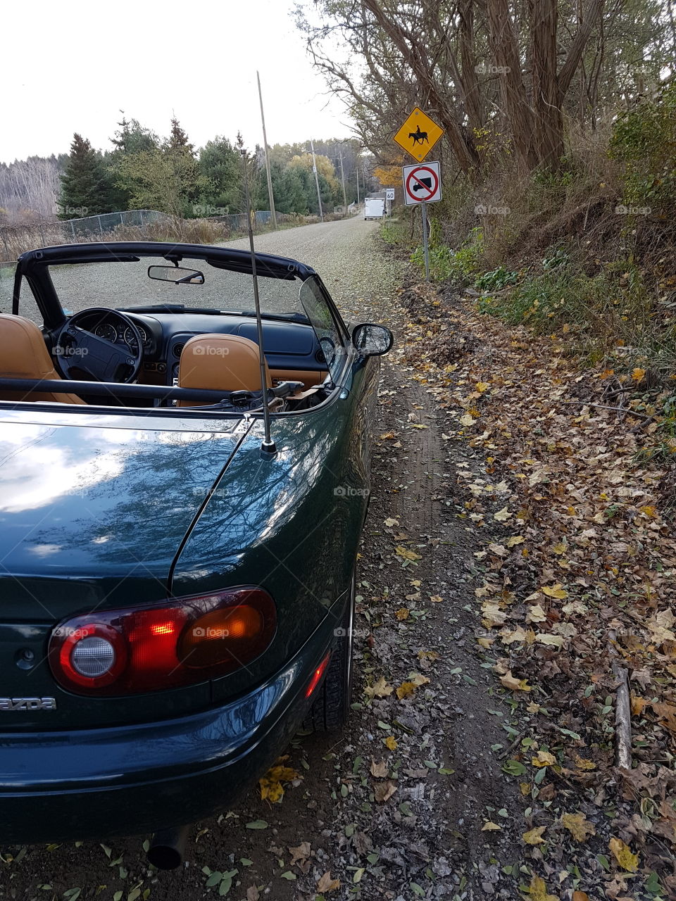 miata in the fall
