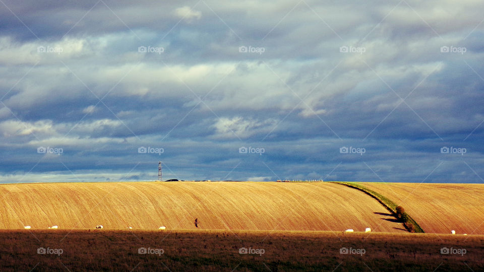 Fields after harvest, Autumn, Wiltshire, England