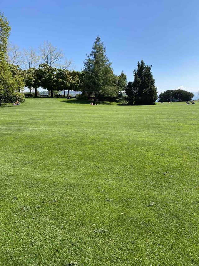 Green Field