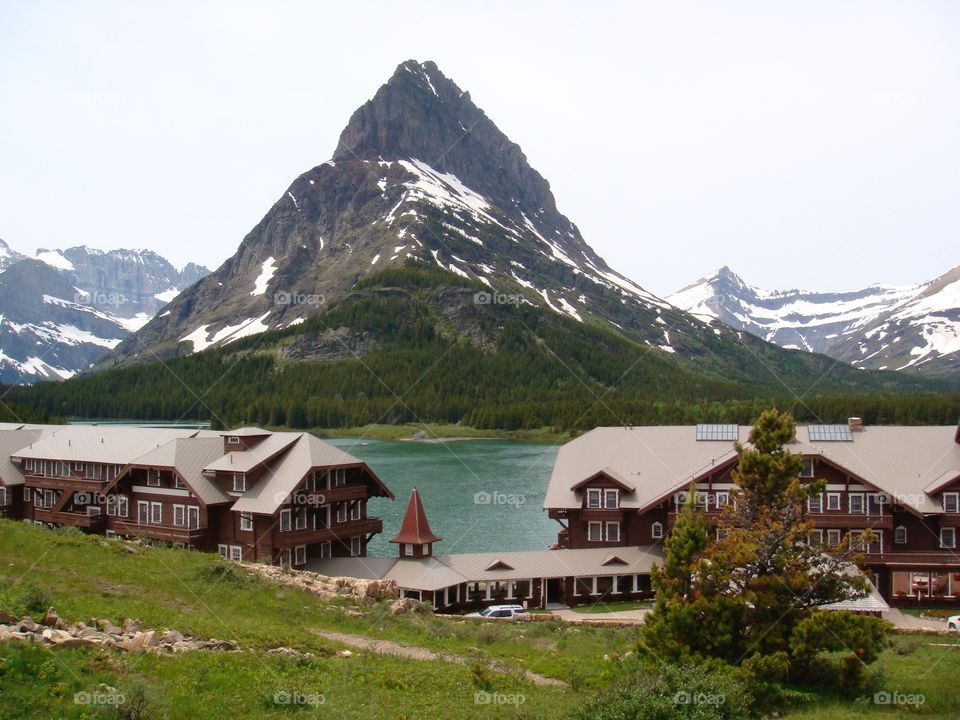 Scenic view of nature