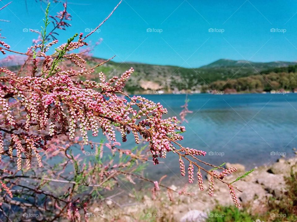 When nature comes closer to us!