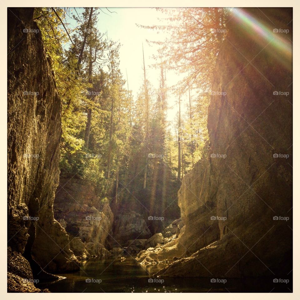 Sunlight filters through the canyon of Devil's Bath on Vancouver Island.  