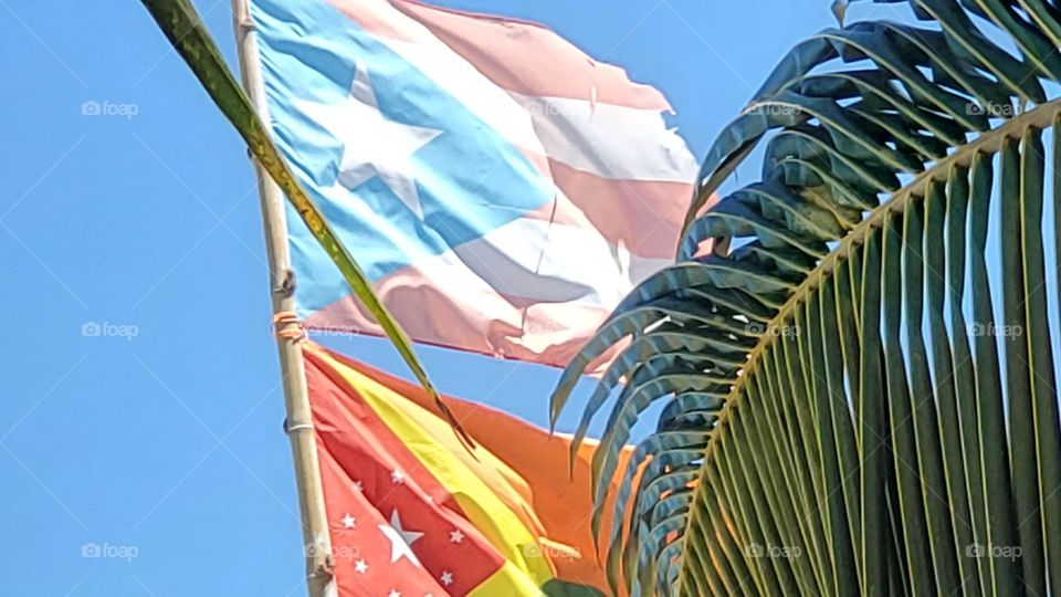 Flags of Puerto Rico 🇵🇷 and Rincon