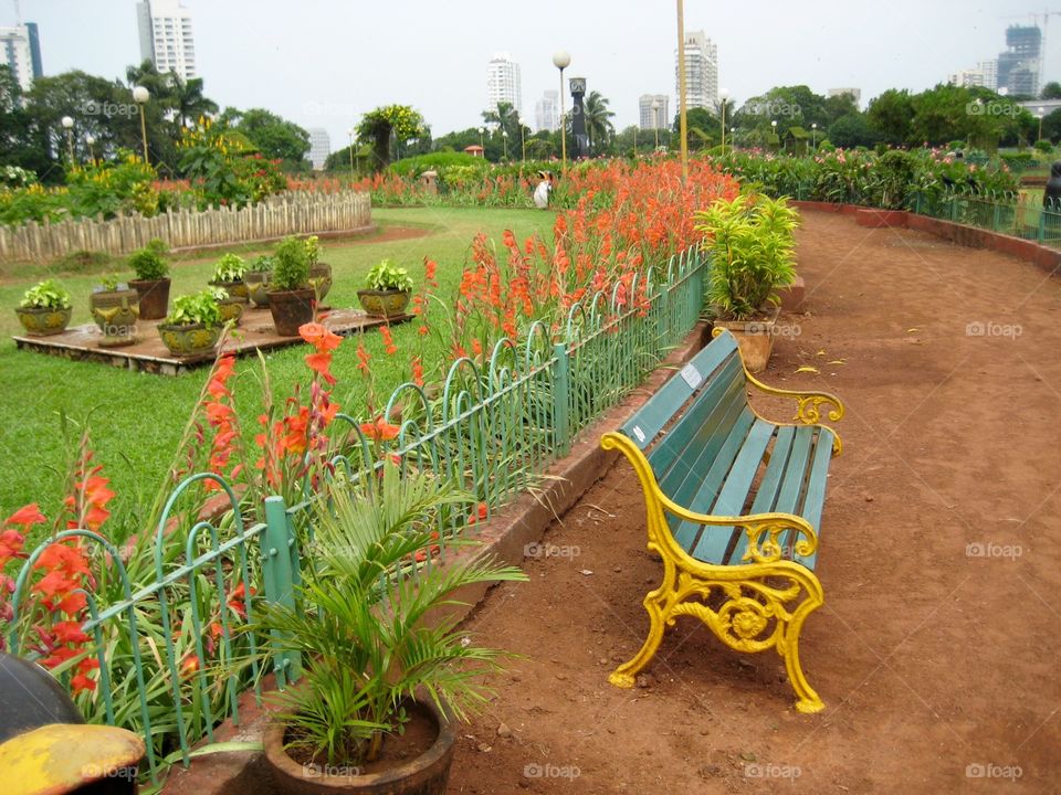 India Series. Park Bench in Mumbai