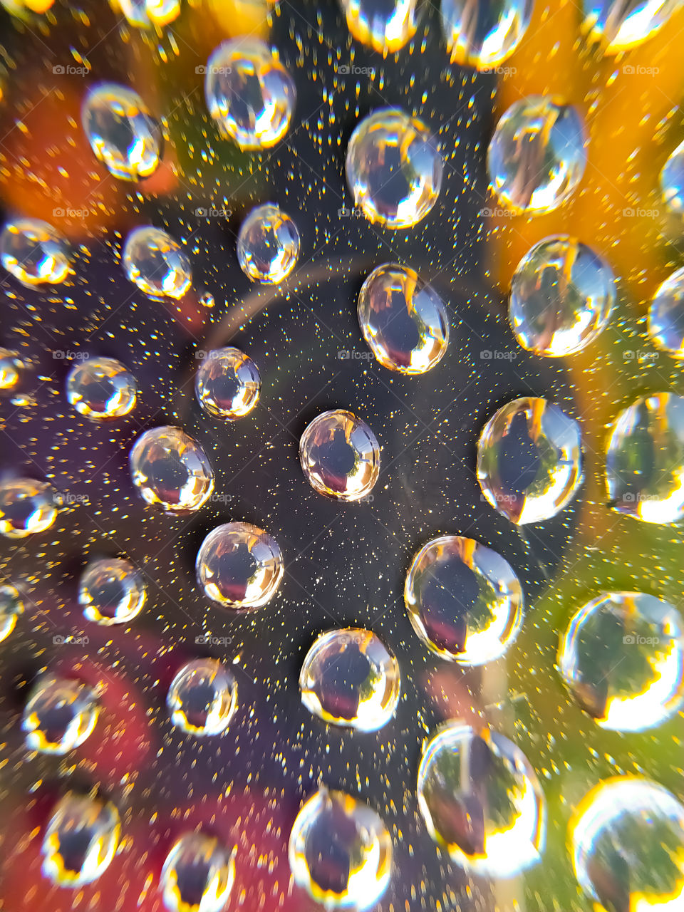 abstract background with circles and dots