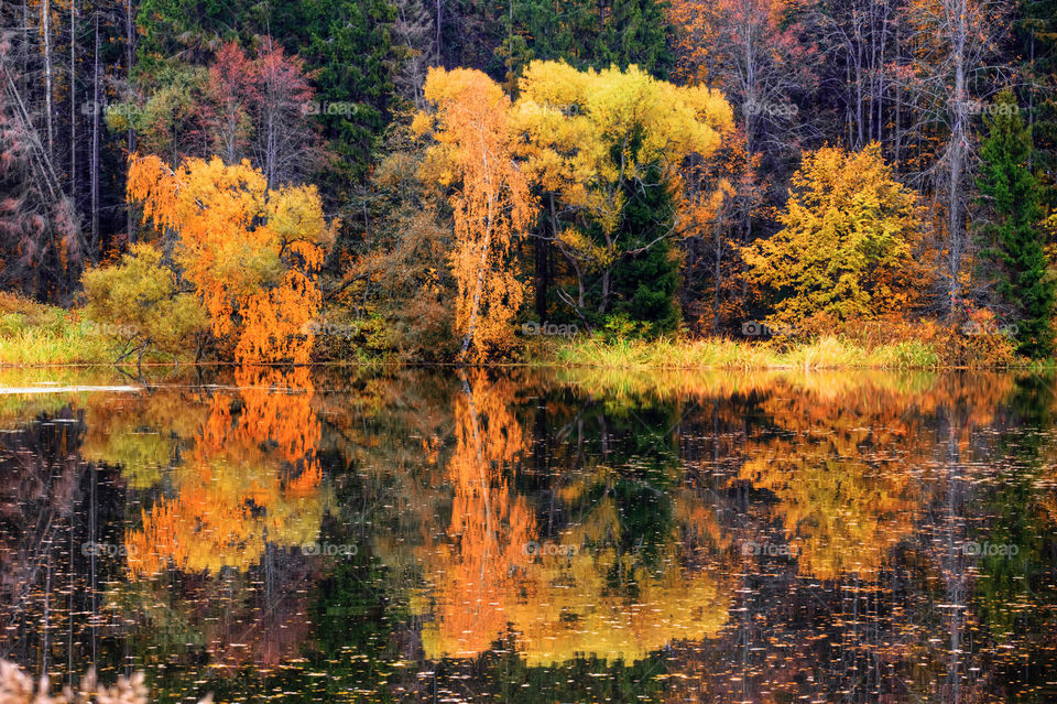 Autumn landscapes with forest and pond