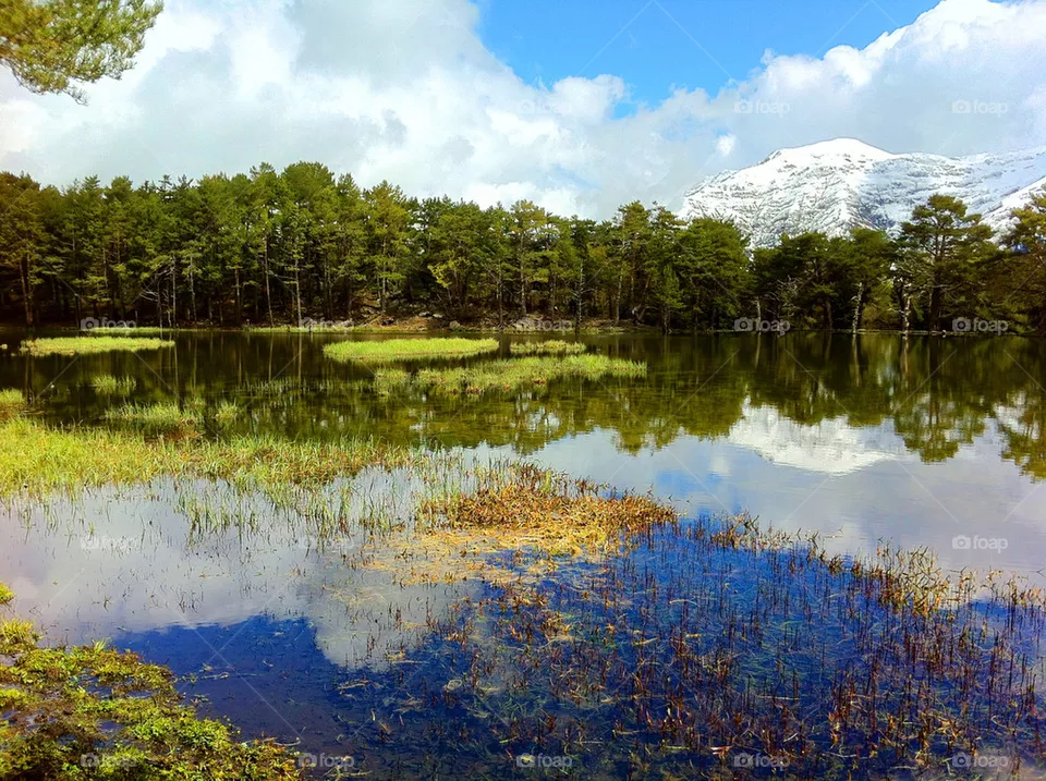 LAKE
