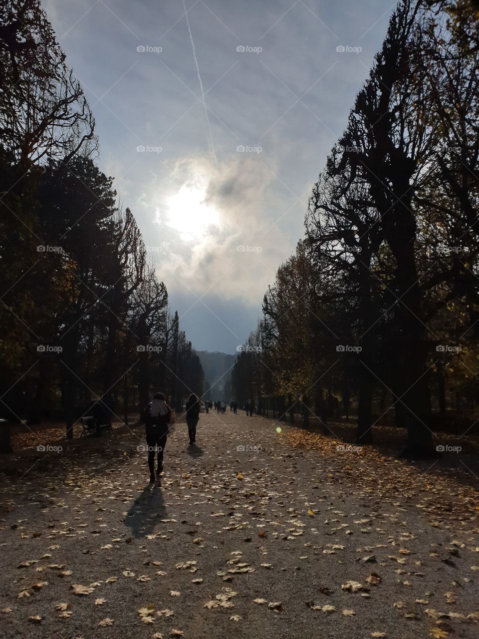 See yourself in the other. Push yourself Forward.