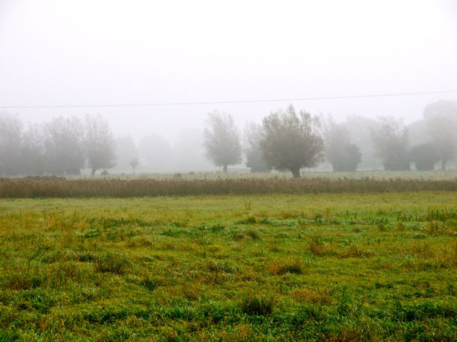 österlen sweden landscape