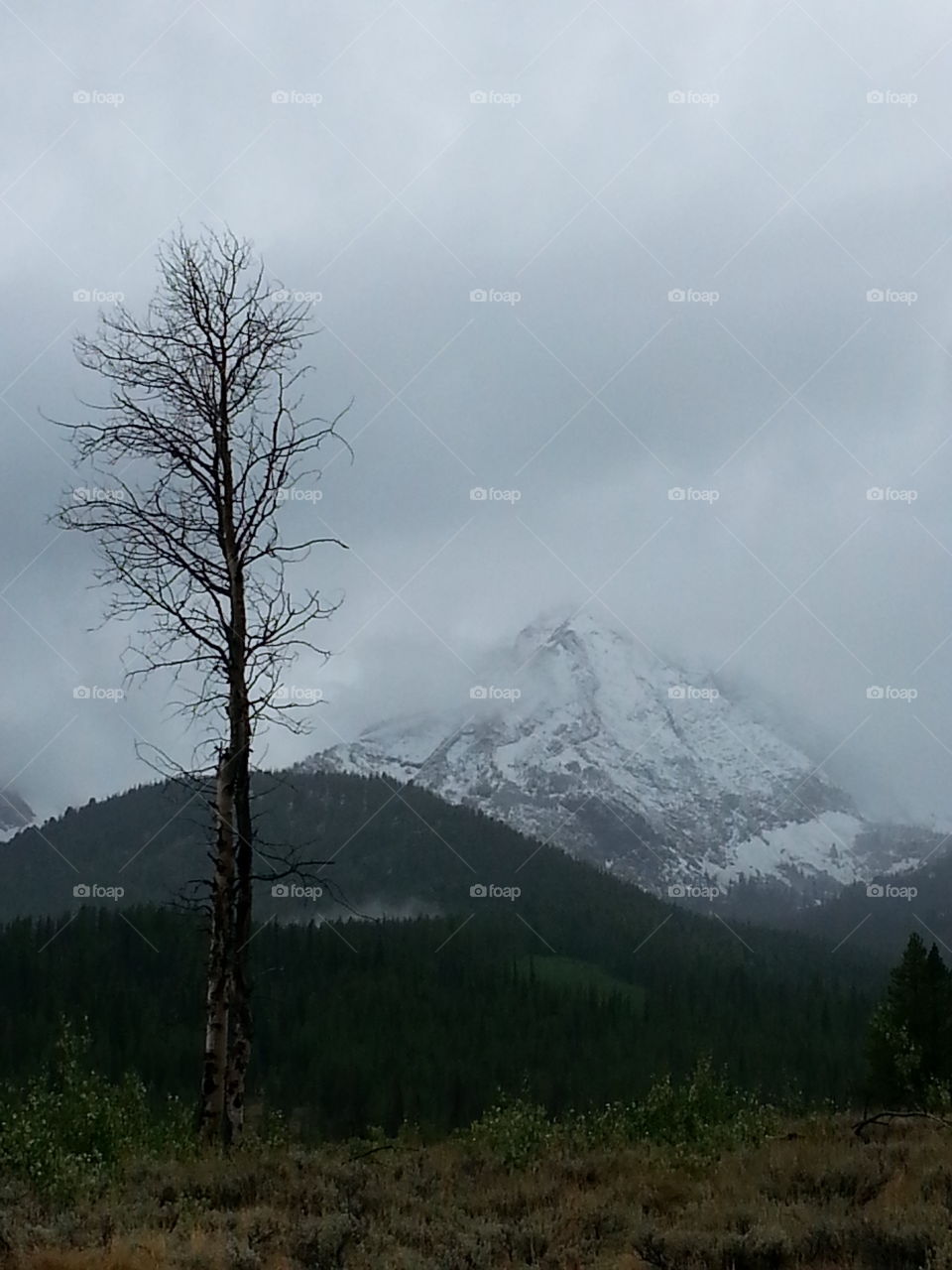September Snow. snow accents the mountain back drop.