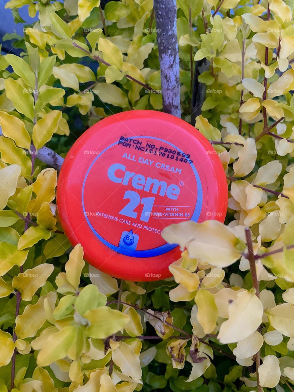 Creme21 All day cream