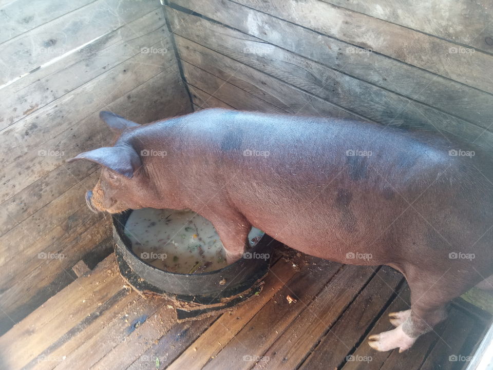 RJ Magé Parque Estrela