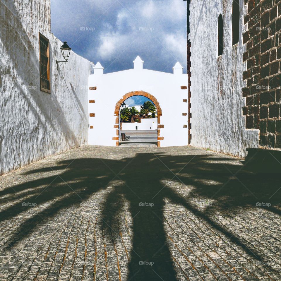 Shadow of a palm tree between walls and an arch in front 