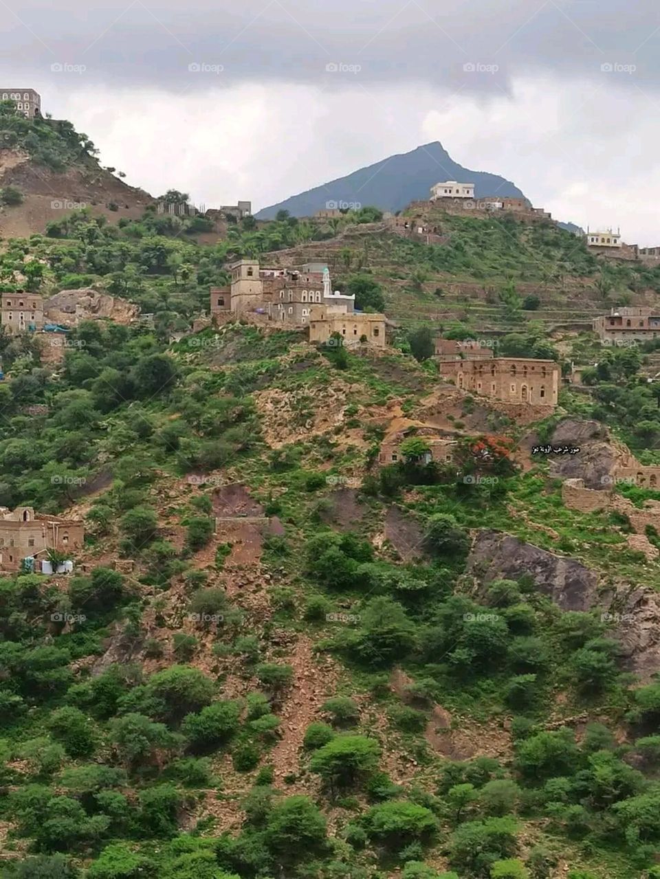 A very beautiful picture, and there is no better picture than it. There is no better picture of green herbs and colorful, red and white roses than it. Glory be to God, the natural and picturesque view, and there is no more